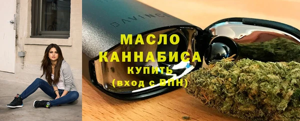 индика Краснотурьинск